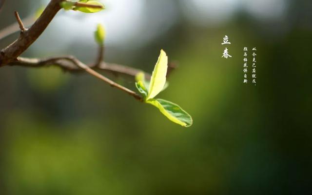 “立春”来了！“咬春”、“拜春”、“春饼”英文都怎么说？ - 知乎