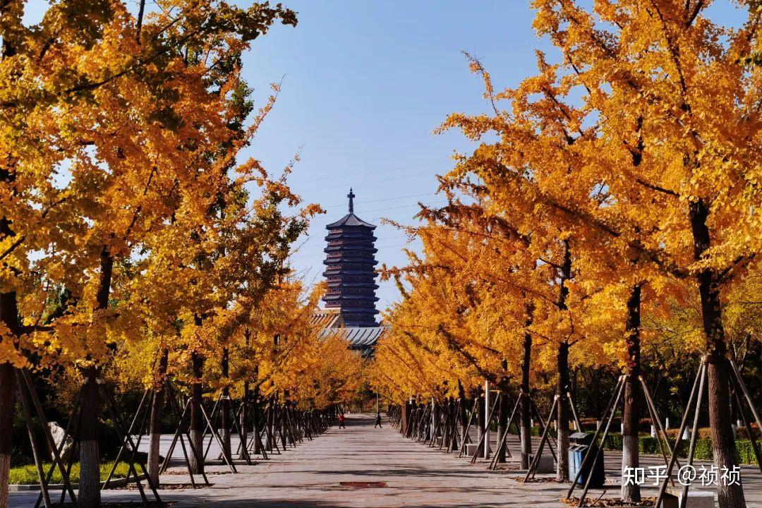北京秋天的景色图片