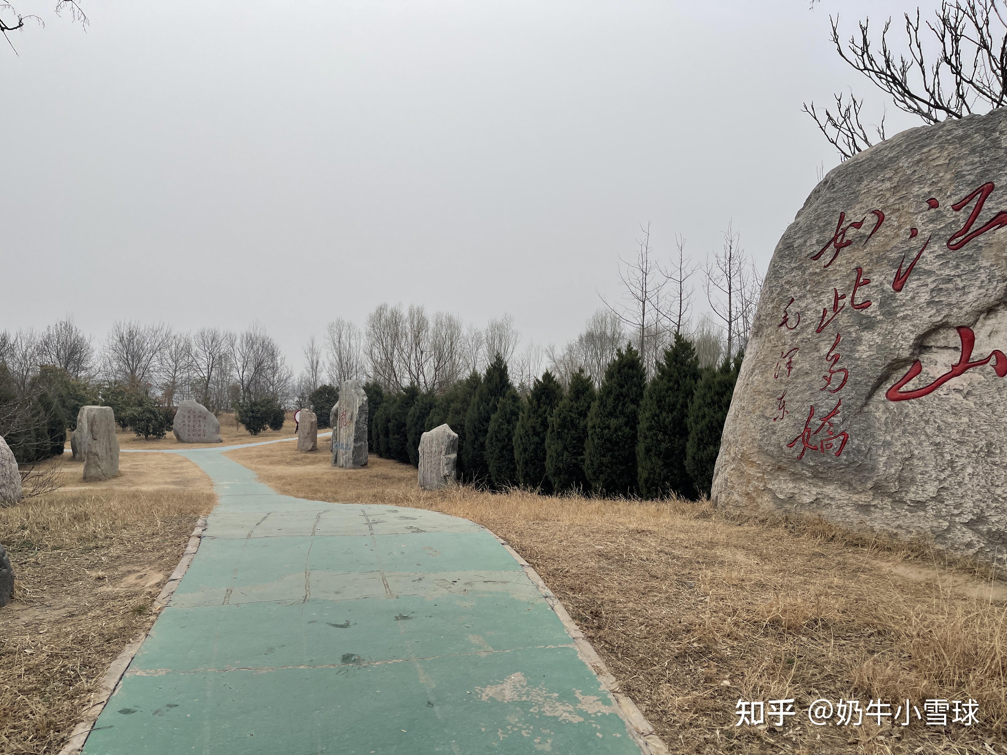 行走河南·读懂中国丨到郑州黄河文化公园 赴一场春天的约会 - 河南省文化和旅游厅