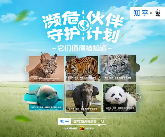 广告