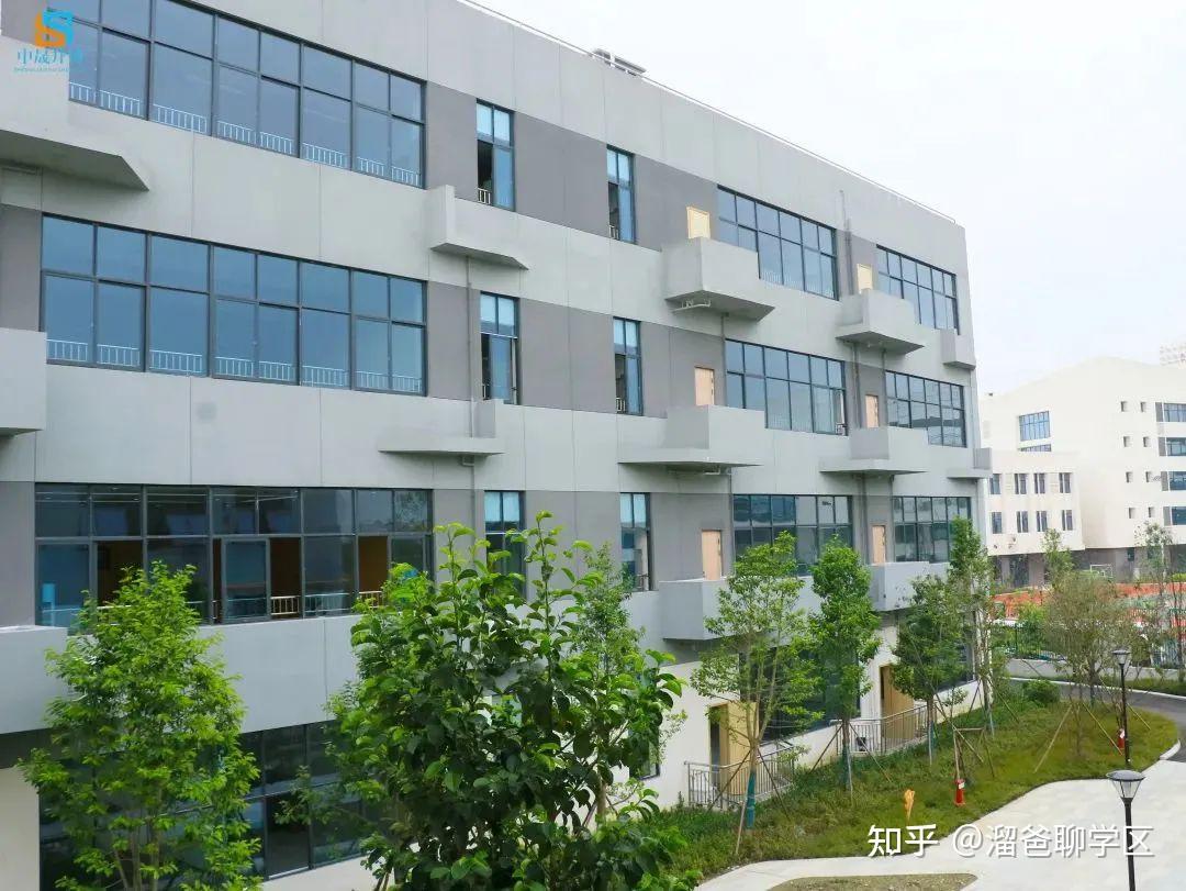 师资团队方面,胜西小学高坎校区与本部实行一体化的管理,除了管理团队