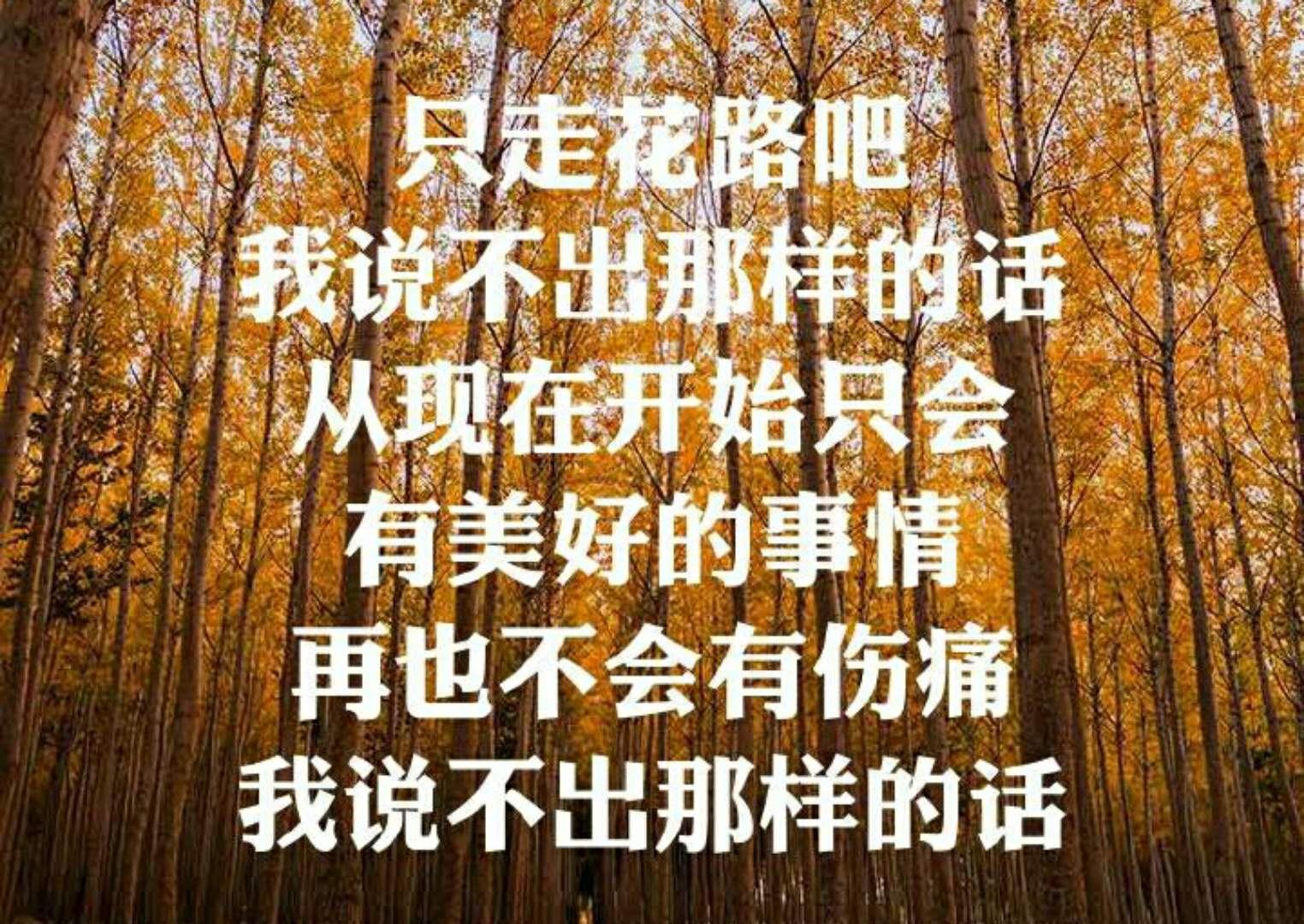 弹爹