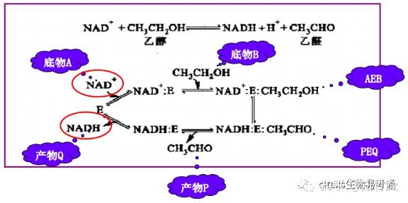 生物化學高頻考點(二十一)之底物濃度對酶反應速率的影響內容及思維導