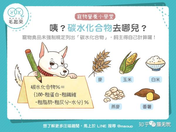 必读 猫咪营养需求和喂食建议的全面介绍 知乎