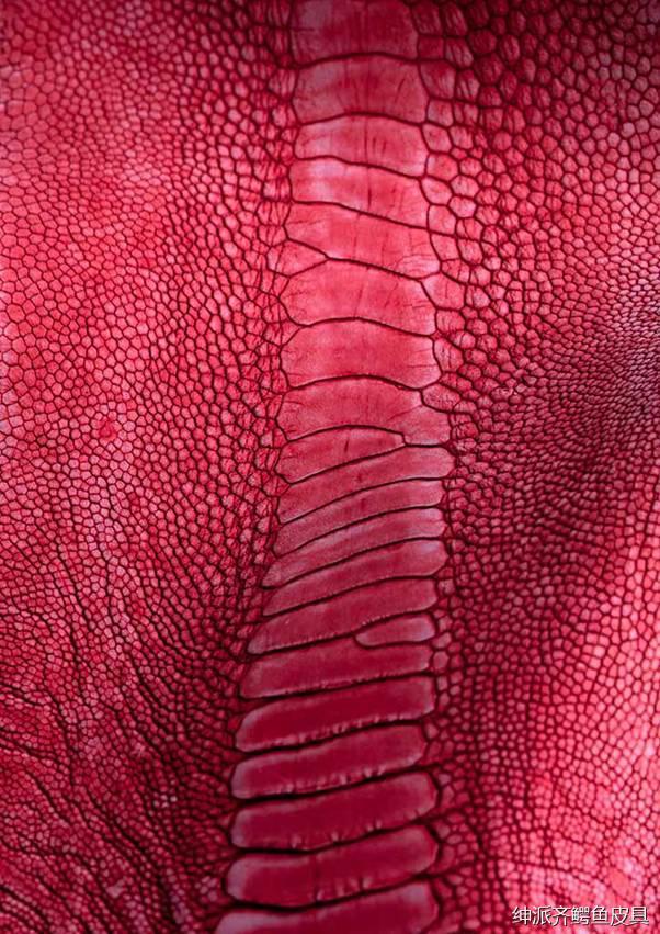 绅派齐关于鸵鸟腿皮