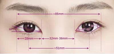 眼睛有几条泪腺 v2-9f85a1396e08c18574b9ea39c5441838_1440w.jpg?source=172ae18b