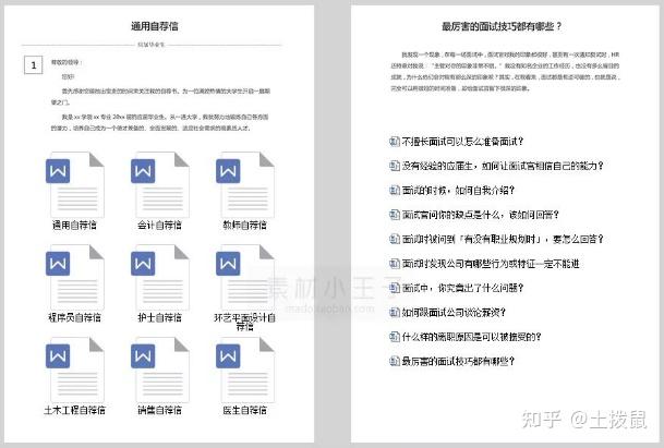 简历模板免费下载(600套精选)插图5 简历模板免费下载(600套精选)插图5