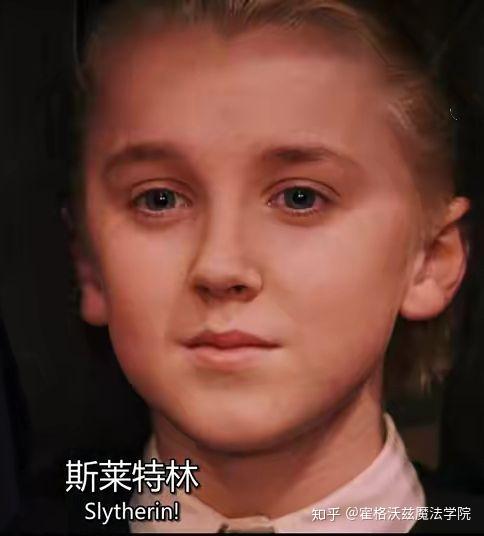 赫奇帕奇招生人数:     38人