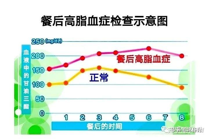 空腹与餐后血脂检查的意义