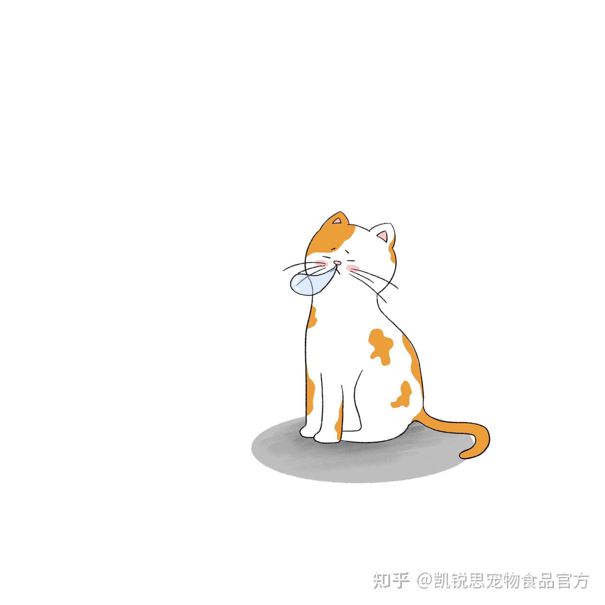 "猫咪感冒到底是什么?