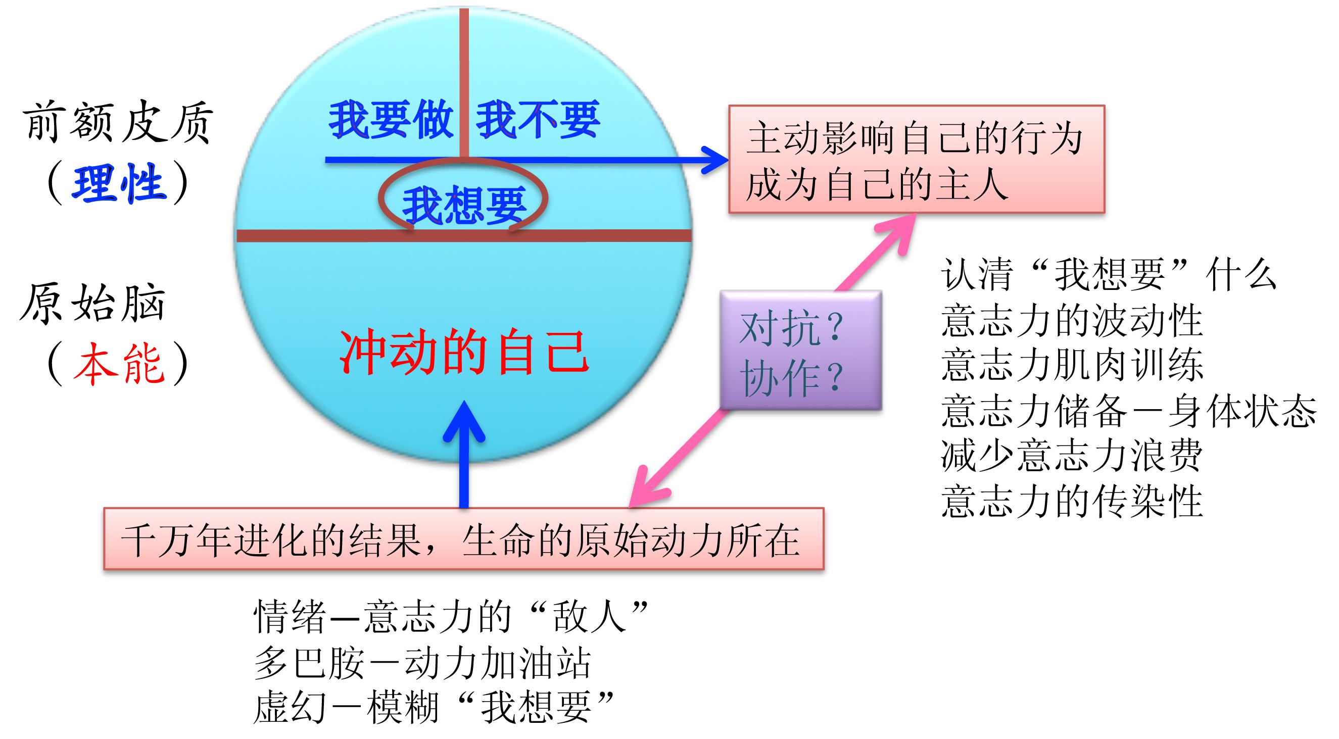 意志力训练营第一期 - 知乎