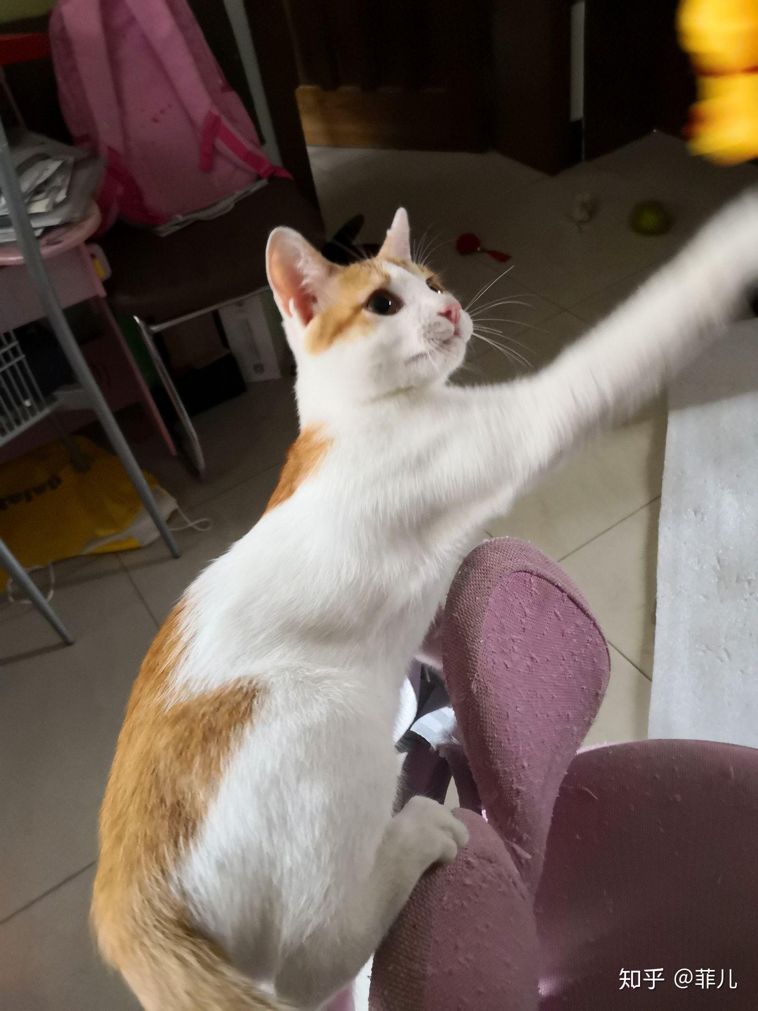 v2-9fdda50d2ed8dc62d736d1d3aa6653ce_r.jpg