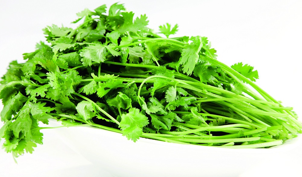 v2-9fdf00f79319d1bbac42baa6f1375ada_1440w.jpg?source=172ae18b