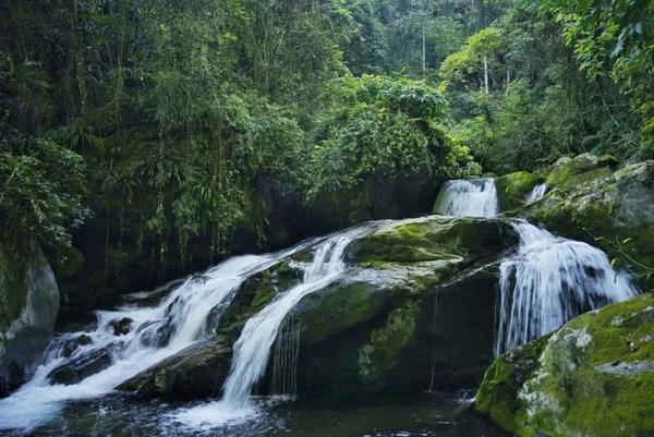 通火车了 现在就出发 穿梭于雨季凉爽的咖啡庄园 温润古镇 知乎