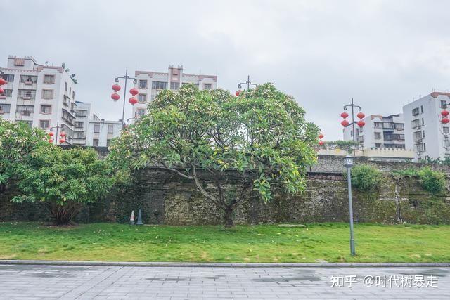 肇庆文旅新地标,这个地方免费打卡,还能了解千年文化 - 知乎