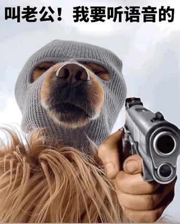 有没有劫匪狗狗的表情包