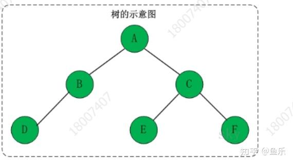 数据结构 树 知乎