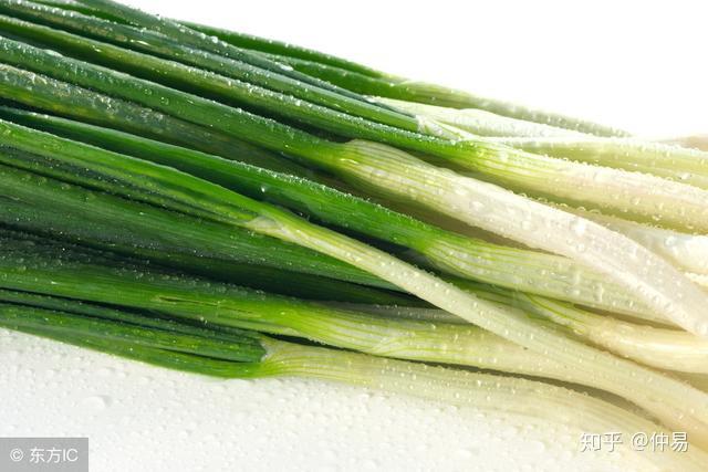 石脉:按之坚硬如石者.芤脉:中空外实,状如慈葱.