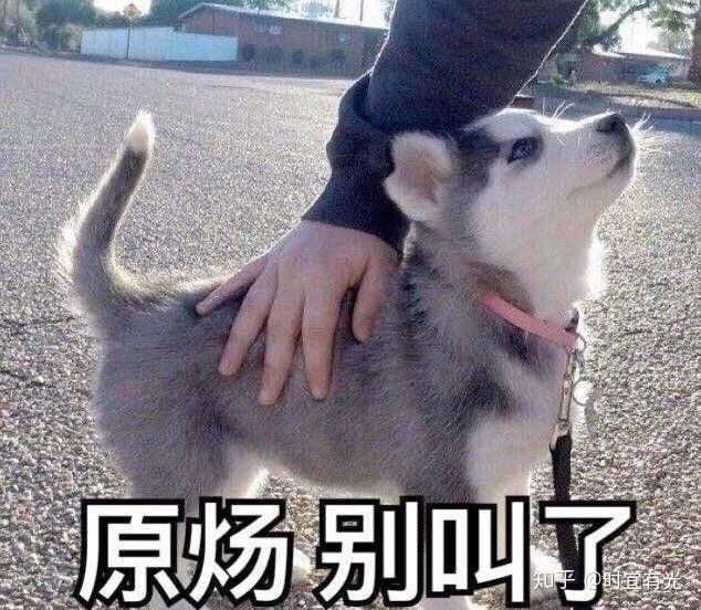 可以分享一些原耽的表情包吗