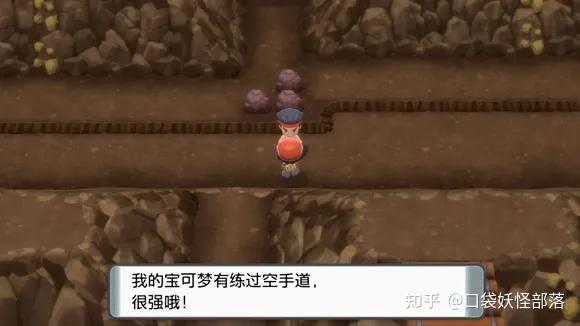 宝可梦晶灿钻石发售日期(《宝可梦晶灿钻石明亮珍珠》一周目图文攻略)  第348张