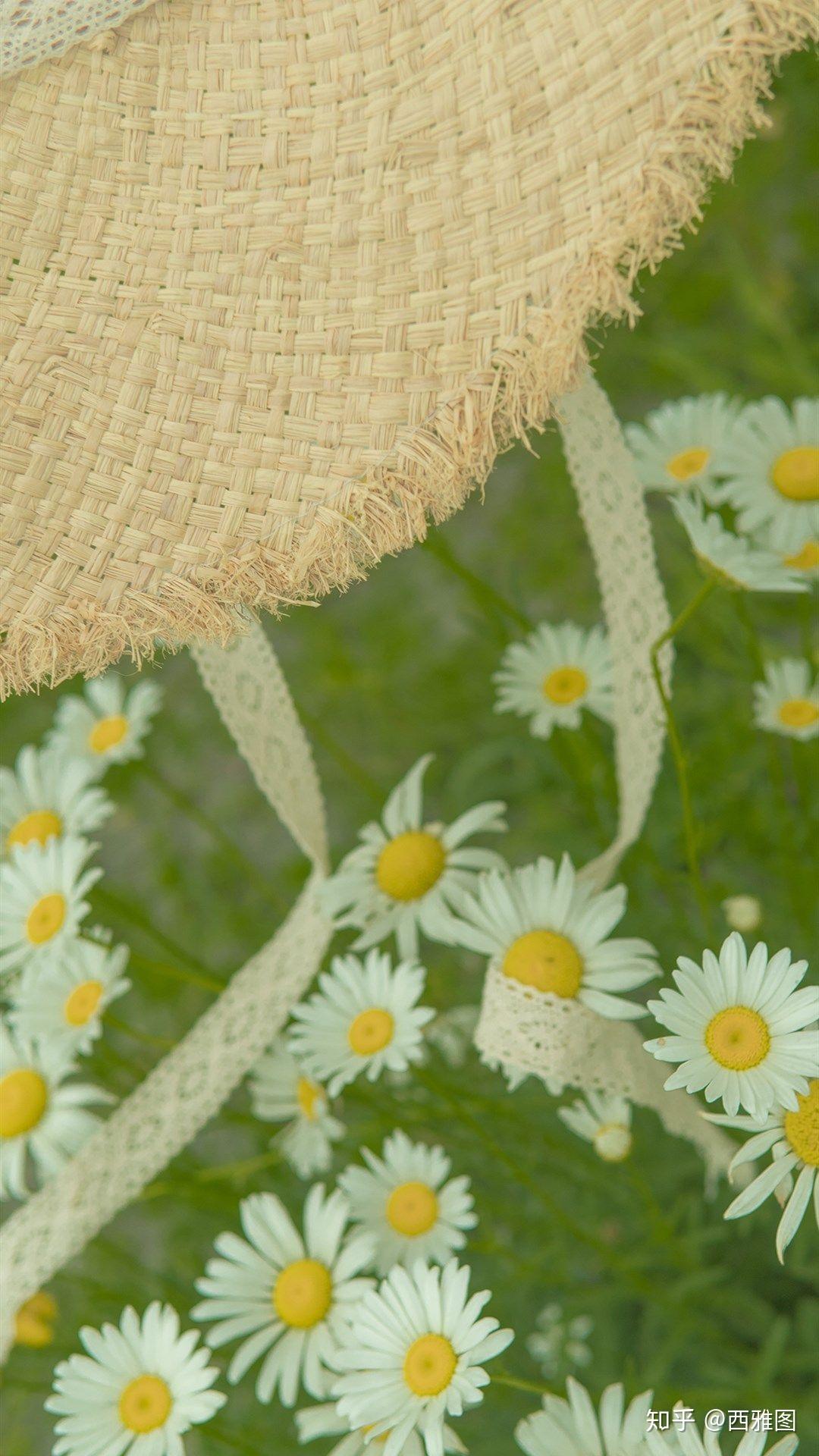 我可以成为你手机里的一员吗→绿色系养眼壁纸,爱自己,爱时光,爱你