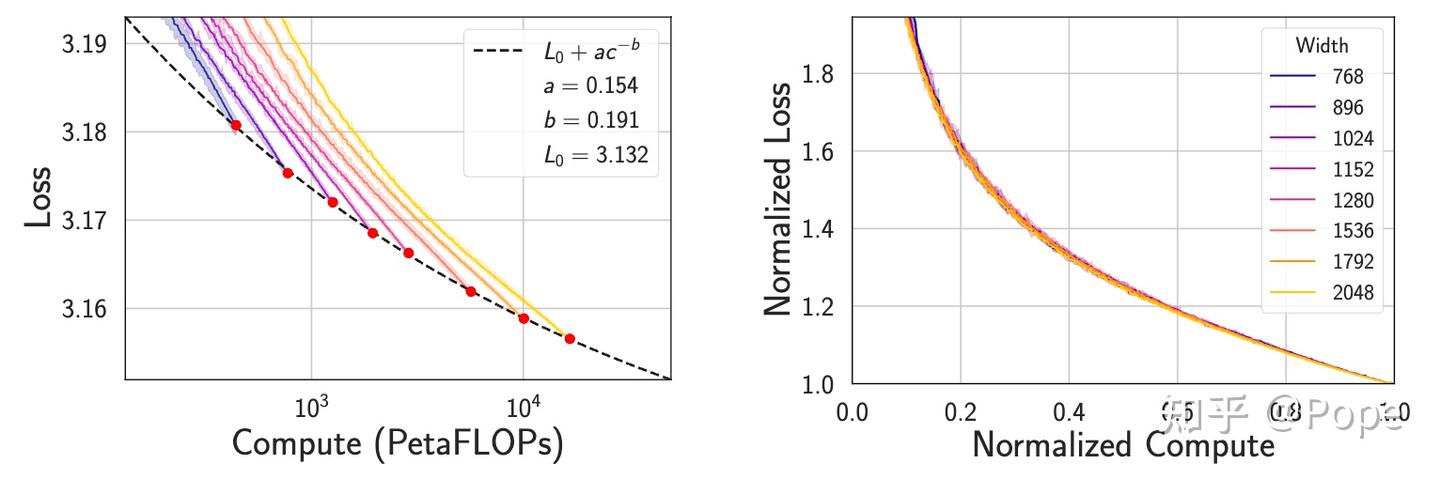 论文阅读: Scaling Collapse Reveals Universal Dynamics in Compute-Optimally ...