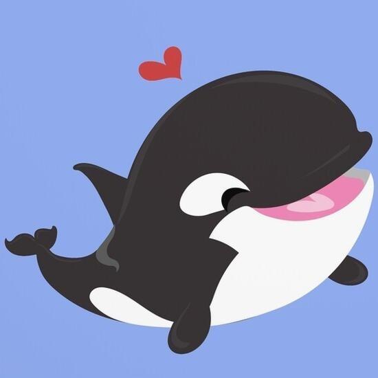 可爱小虎鲸 
