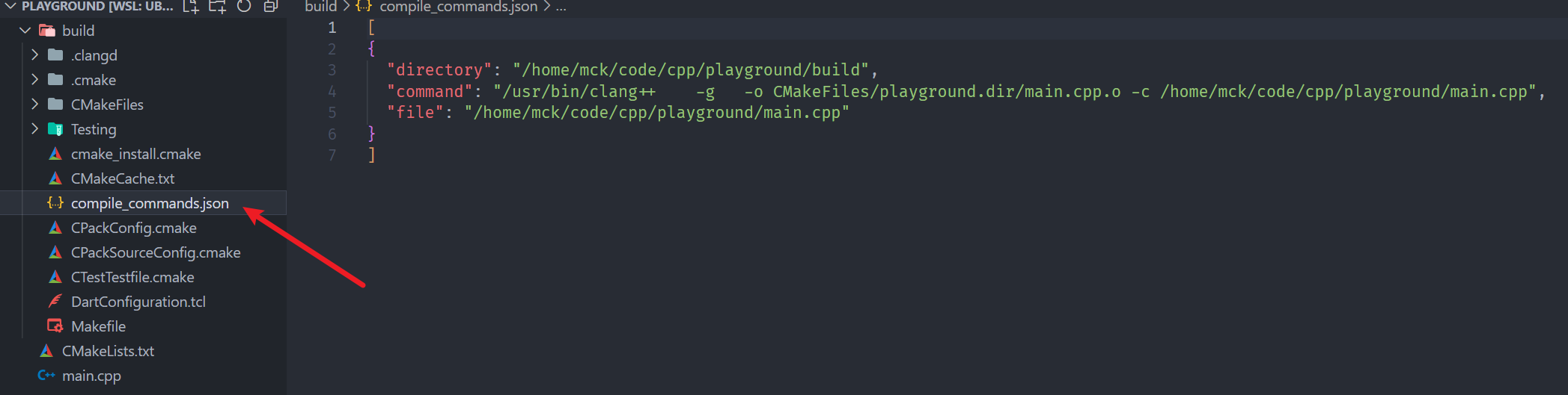  VSCode clangd lldb cmake C C 