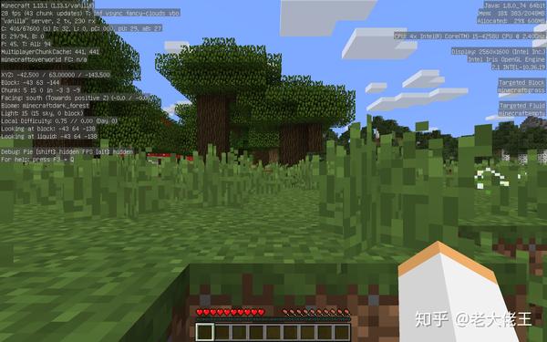 如何从零开始构建一个Minecraft私人服务器？