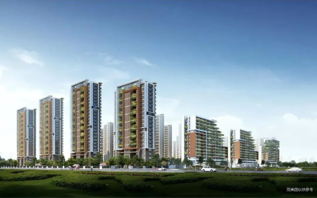 火爆杭州湾杭州湾新区的碧桂园海上风华太火爆了