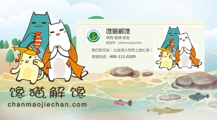 瓦市华子鱼这样做最好吃