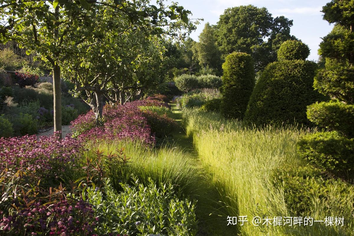 河岸植物群落图片