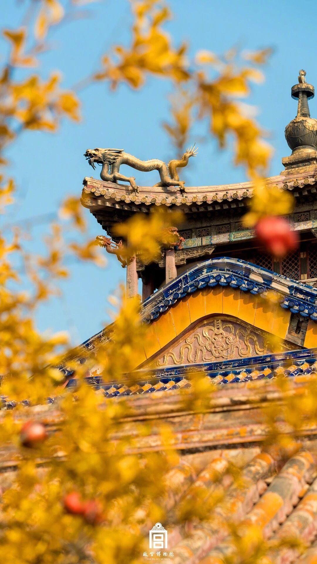 北京故宫（随拍）|摄影|风光|静儿521521 - 原创作品 - 站酷 (ZCOOL)