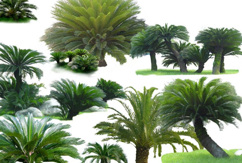 如何把寝室装修成白垩纪晚期风格