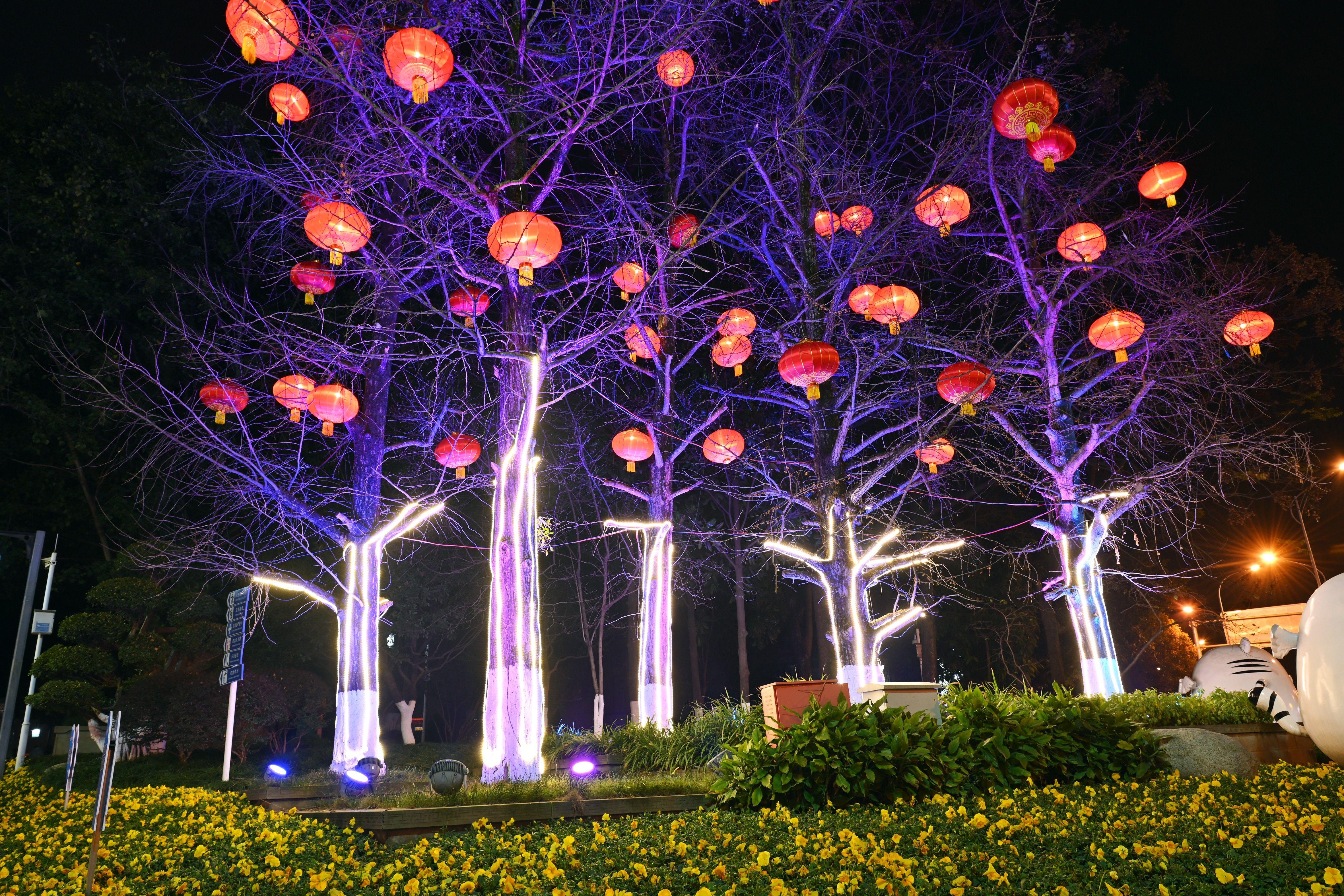 重庆市巴南区龙洲湾灯光璀璨,灯笼高挂,喜迎春节