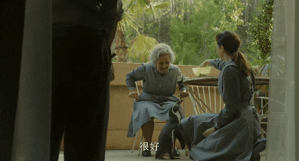 《我的企鹅老师》宠物当“老师”很离谱?不,巨好看!