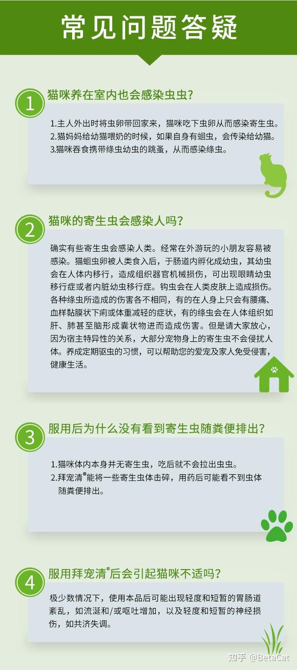 拜宠清猫可以吃吗 拜宠清狗用猫可以吃吗 拜宠清驱虫药怎么吃