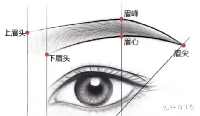 2023植眉全攻略|价格多少钱、真实案例、常见问题解答看这1篇就够了！ - 知乎