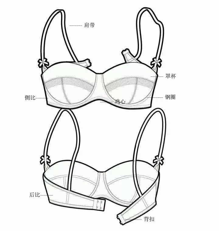 女性内衣基础结构知识解析 知乎 