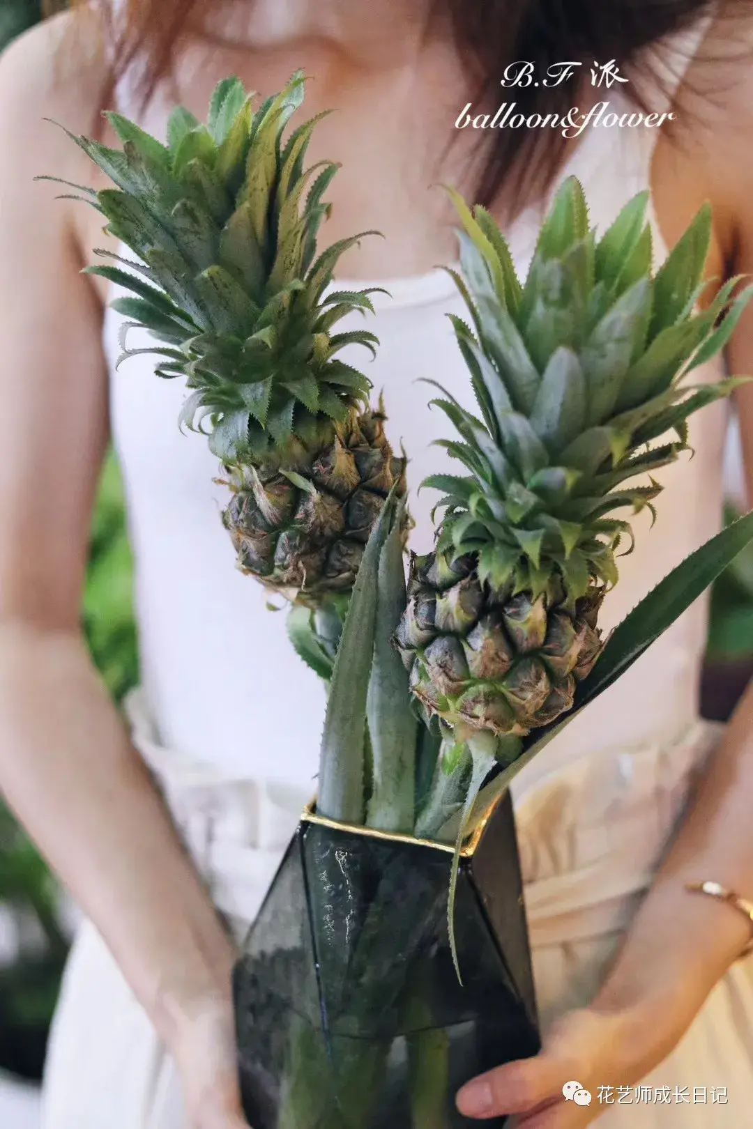 每日一花欢迎再一次来到的凤梨的花艺世界