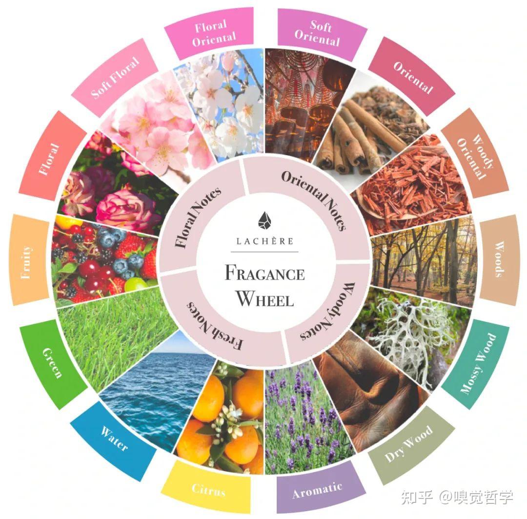 香调的分类,目前国际主流的区分方法是爱德华(michael edwards)的香调