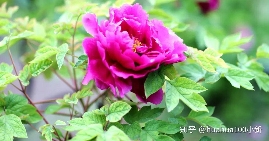 v2-a10d548017b53618fa698605c495e876_r.jpg