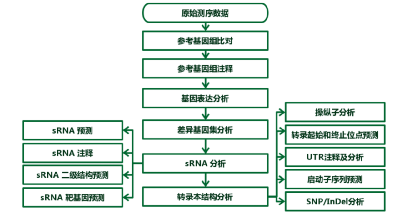 转录组学｜原核转录组测序 - 知乎