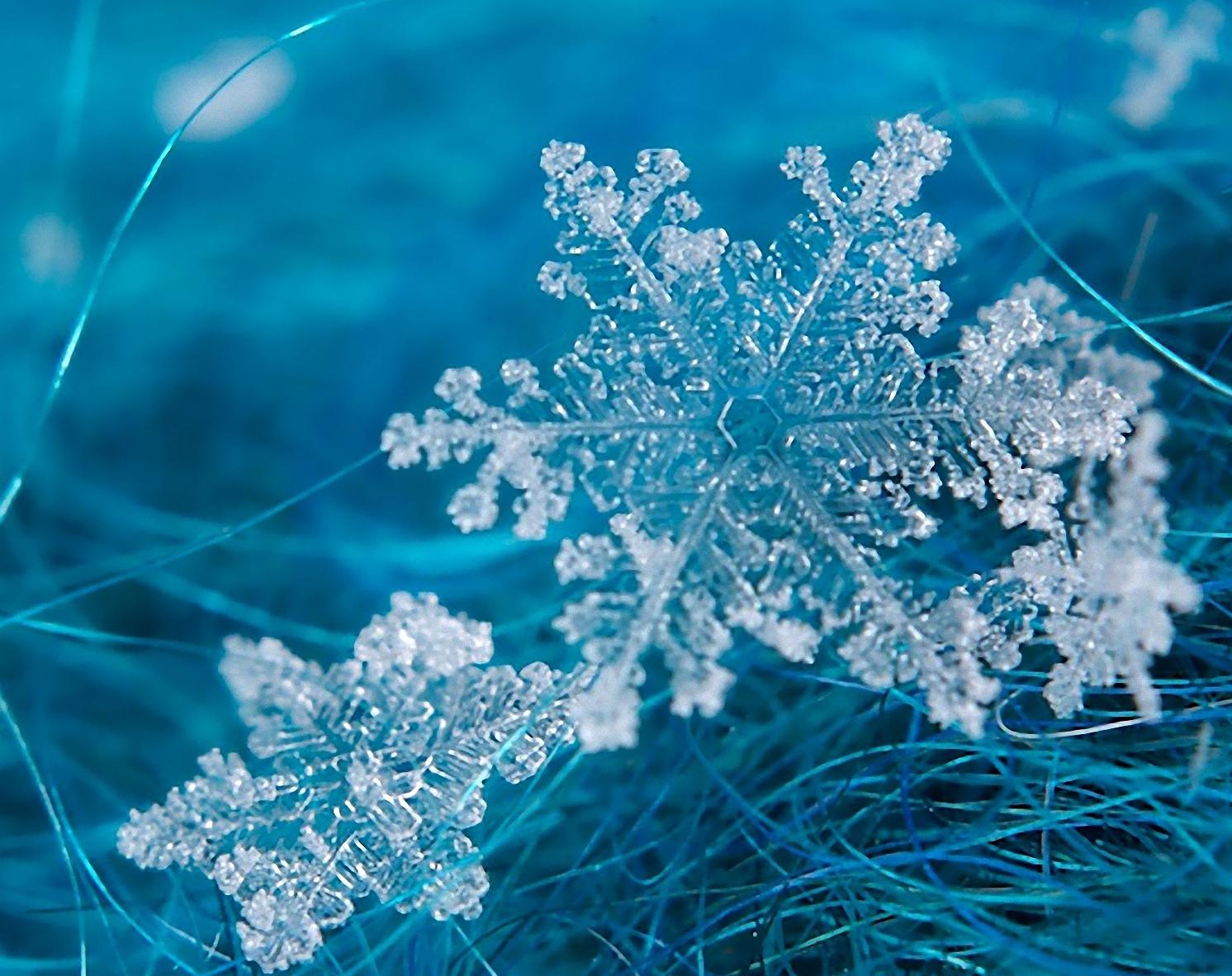 山川形状,天空的云朵,小到一片树叶,一片雪花,皮蛋里的花纹,分形无处