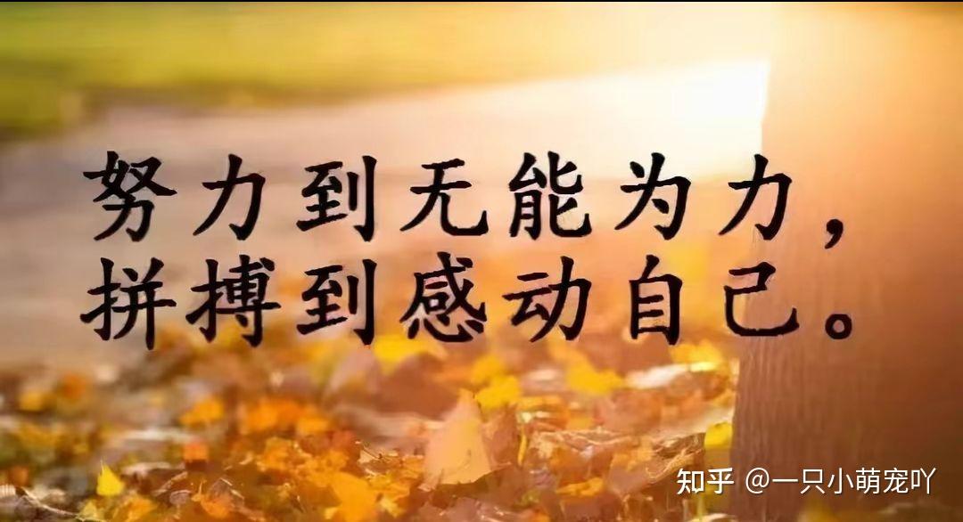 只管努力,剩下的交给时间!