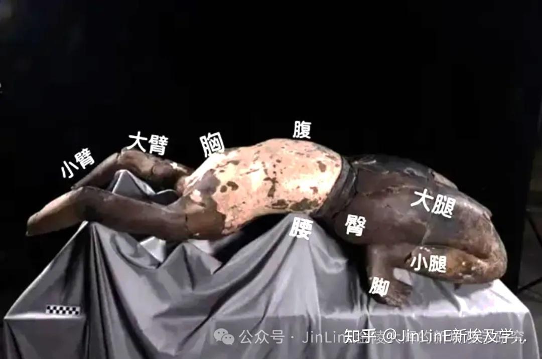 为何秦陵K9901坑会出现埃及法老装束的秦先王陶俑? - 知乎