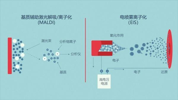 技术｜一文读懂蛋白质组学 - 知乎