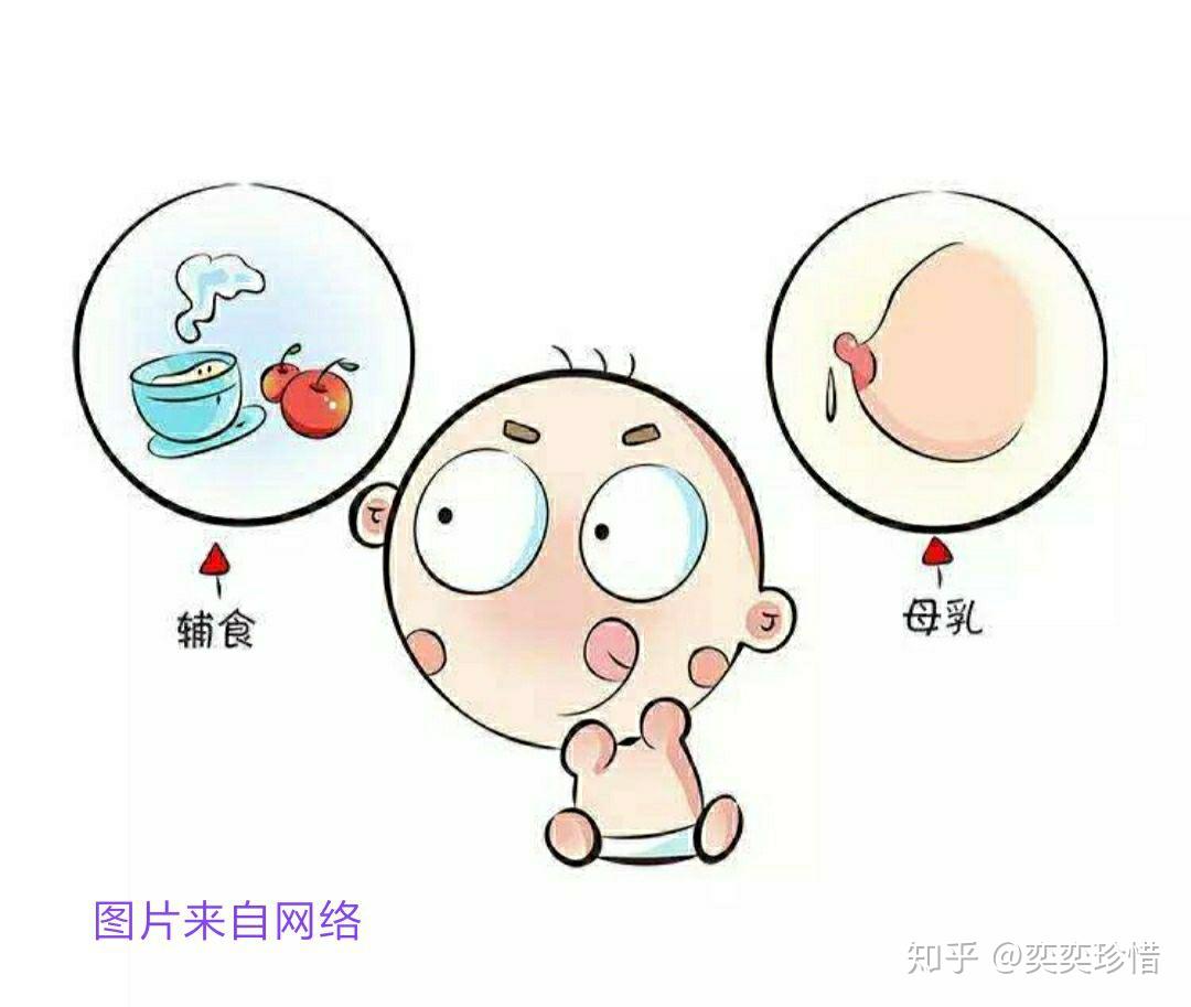 婴幼儿辅食添加 - 知乎