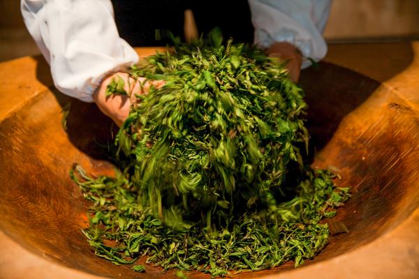红茶有哪些种类?(内含制作流程详解) - 知乎