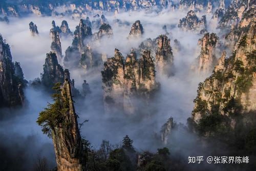 2人起私家小团张家界旅游纯玩4天3晚天门山凤凰古城森林公园